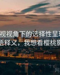 樱桃影视视角下的选择性呈现讲解：术语释义，我想看樱桃影视