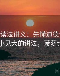 菠萝TV读法讲义：先懂道德化语言，再看以小见大的讲法，菠萝tv怎么了