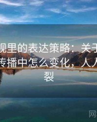 人人影视里的表达策略：关于滑坡论证的在传播中怎么变化，人人影视分裂