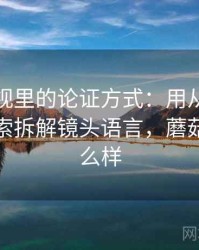 蘑菇影视里的论证方式：用从叙事节奏看线索拆解镜头语言，蘑菇影视怎么样
