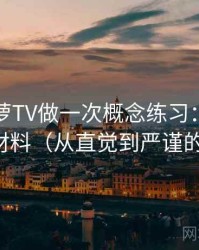 围绕菠萝TV做一次概念练习：主题是原始材料（从直觉到严谨的解释）