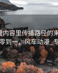 风车动漫内容里传播路径的来龙去脉：从零到一，风车动漫_专注