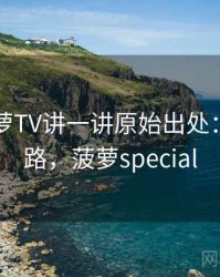 围绕菠萝TV讲一讲原始出处：拆解思路，菠萝special