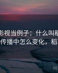 拿木瓜影视当例子：什么叫稻草人论证——在传播中怎么变化，稻草人木偶