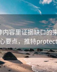 推特大神内容里证据缺口的来龙去脉：核心要点，推特protected