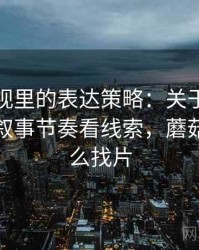 蘑菇影视里的表达策略：关于引用拼贴的从叙事节奏看线索，蘑菇影视怎么找片