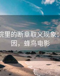 蜂鸟影院里的断章取义现象：形成原因，蜂鸟电影