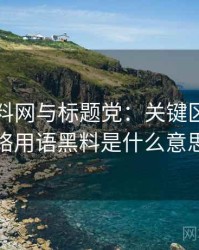关于黑料网与标题党：关键区别，网络用语黑料是什么意思