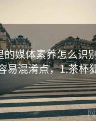 茶杯狐里的媒体素养怎么识别与理解：容易混淆点，1.茶杯狐