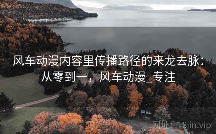 风车动漫内容里传播路径的来龙去脉：从零到一，风车动漫_专注