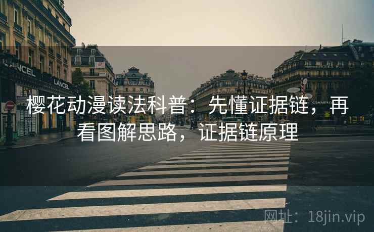 樱花动漫读法科普：先懂证据链，再看图解思路，证据链原理