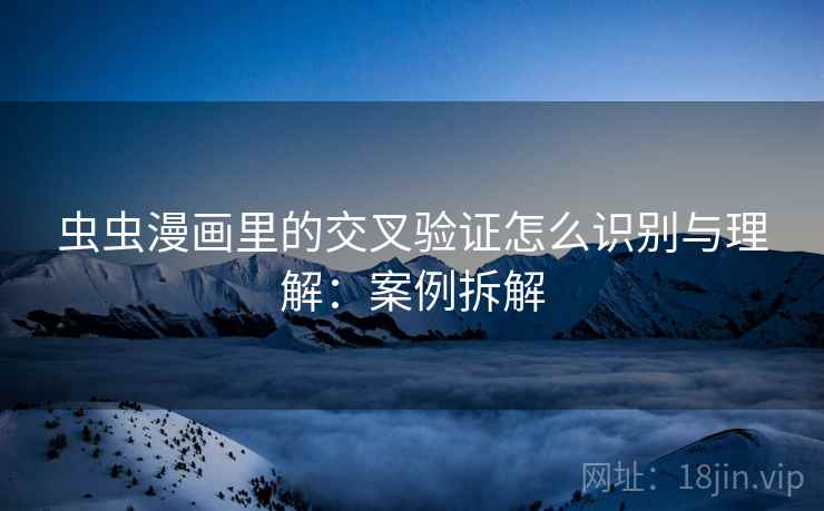 虫虫漫画里的交叉验证怎么识别与理解：案例拆解